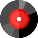 vinyl-record